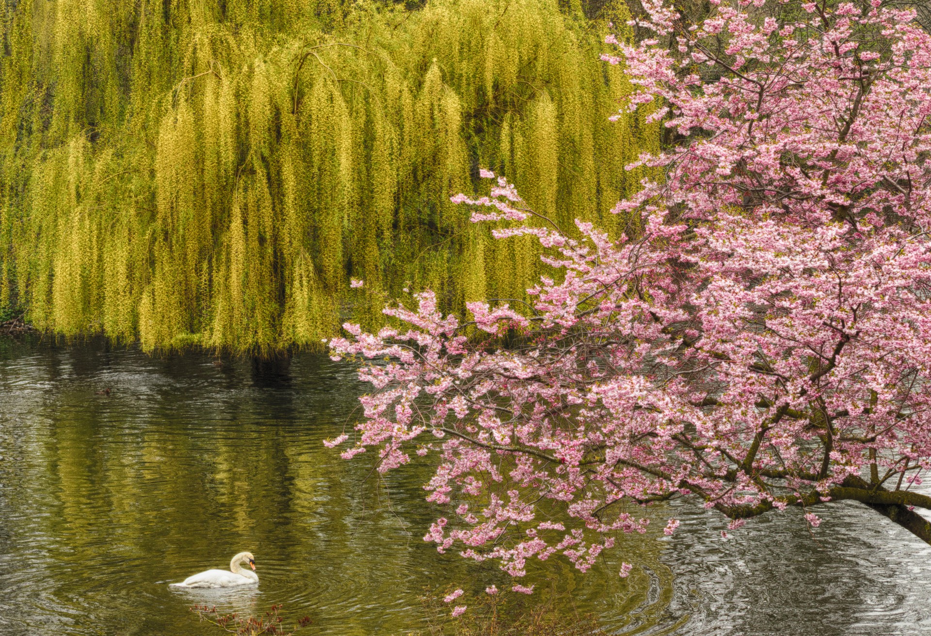 professional-photographers-of-south-carolina-photo-gallery